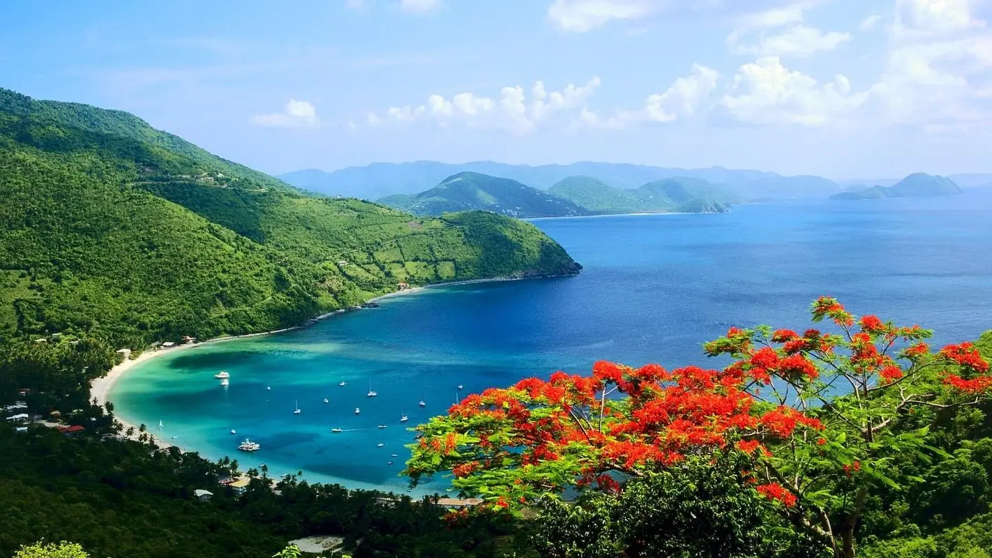 高效智能环保